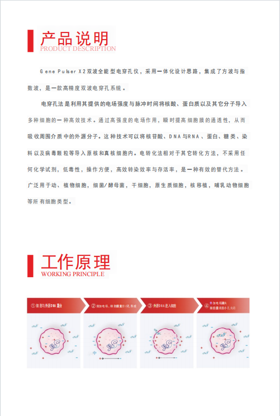Gene Pulser X2�紩���ǿ������ ����������