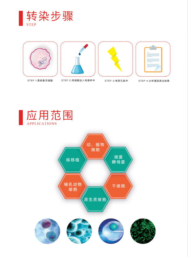�紩����ʹ����ʾ ����תȾʵ�����