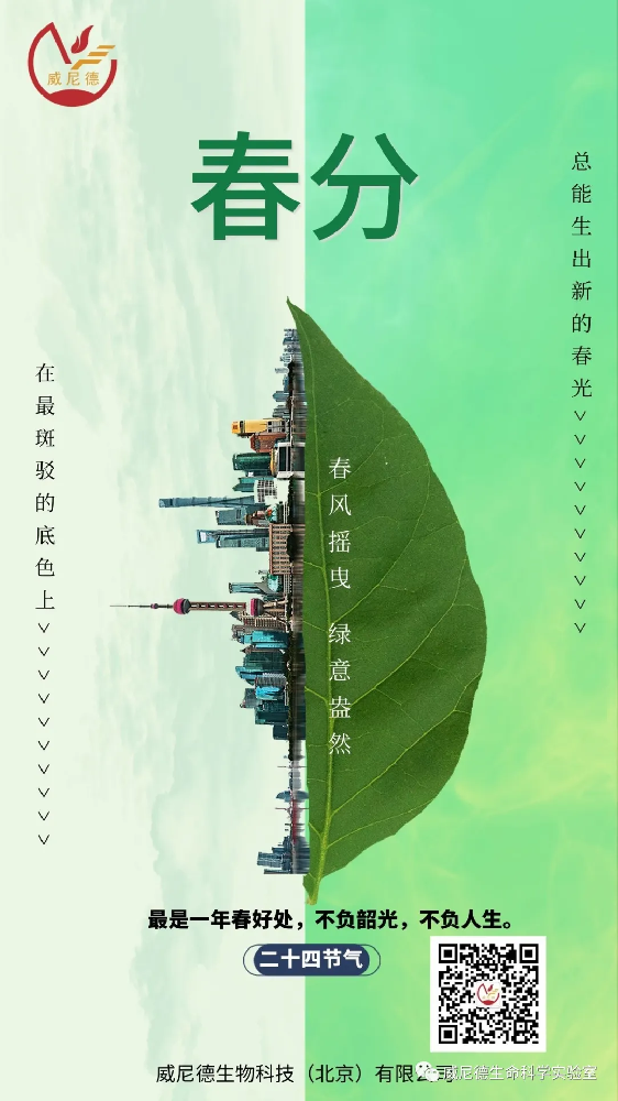 ��ȡ���⣬����һ�룬Ī����