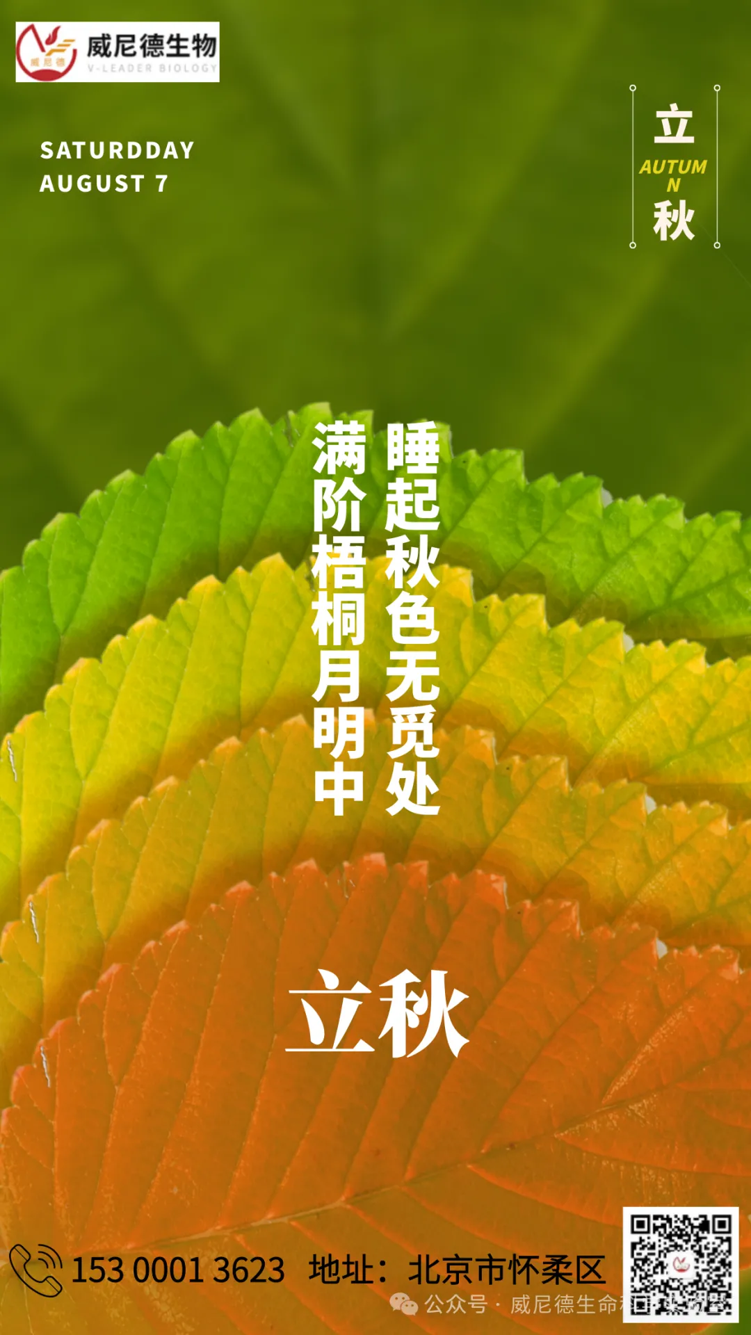 05631e04-d9df-449f-bf11-8388155ad02a.png