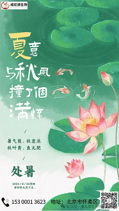 fd42e9e3-8cd9-4b89-8ac0-5da959da42a2.png