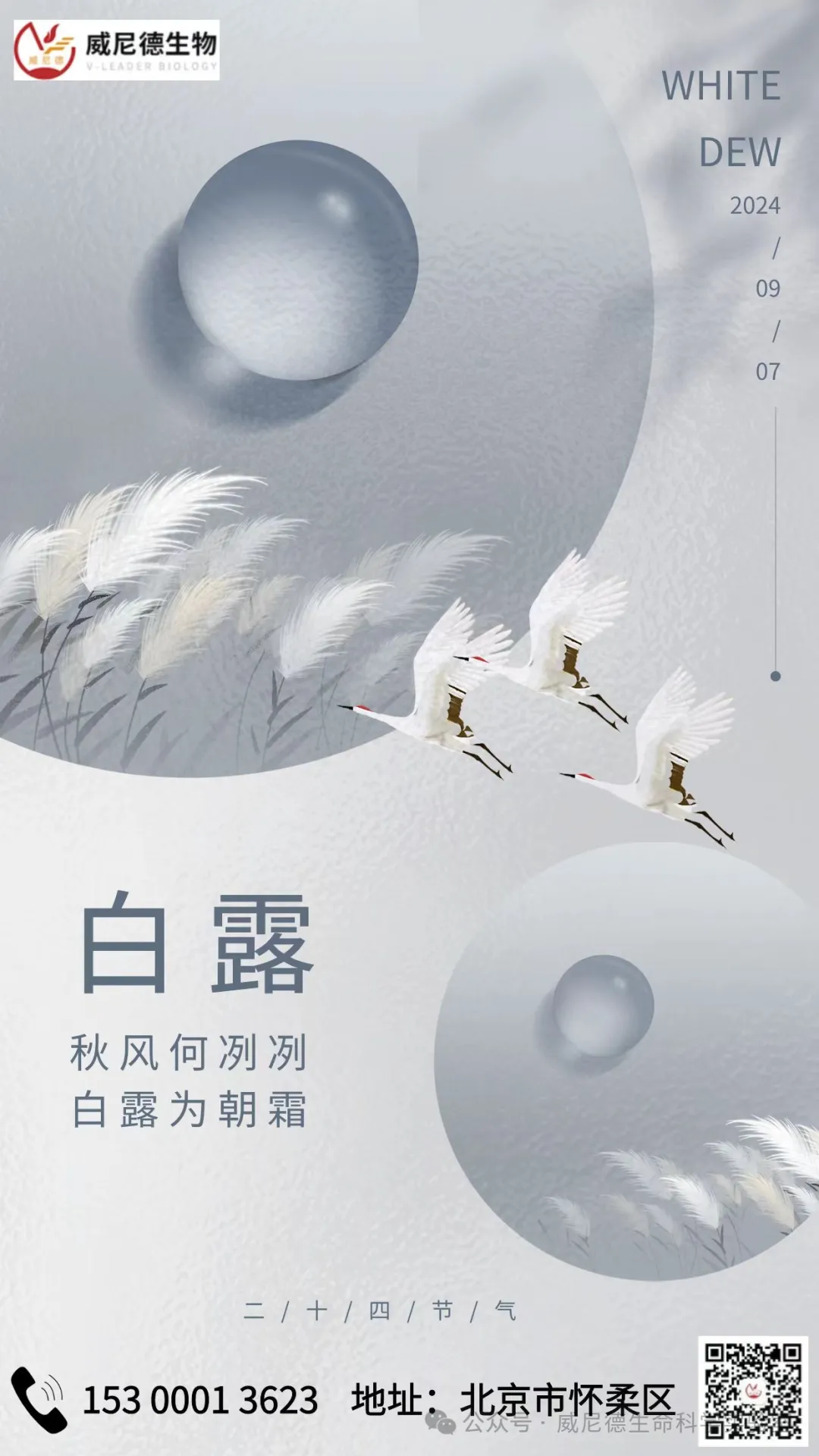 10806349-73fd-4f21-8f72-3e2688dd24ac.png