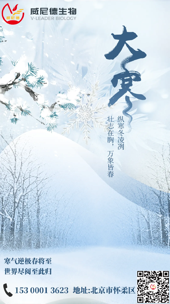 ��ĩ��  ���򴺹�