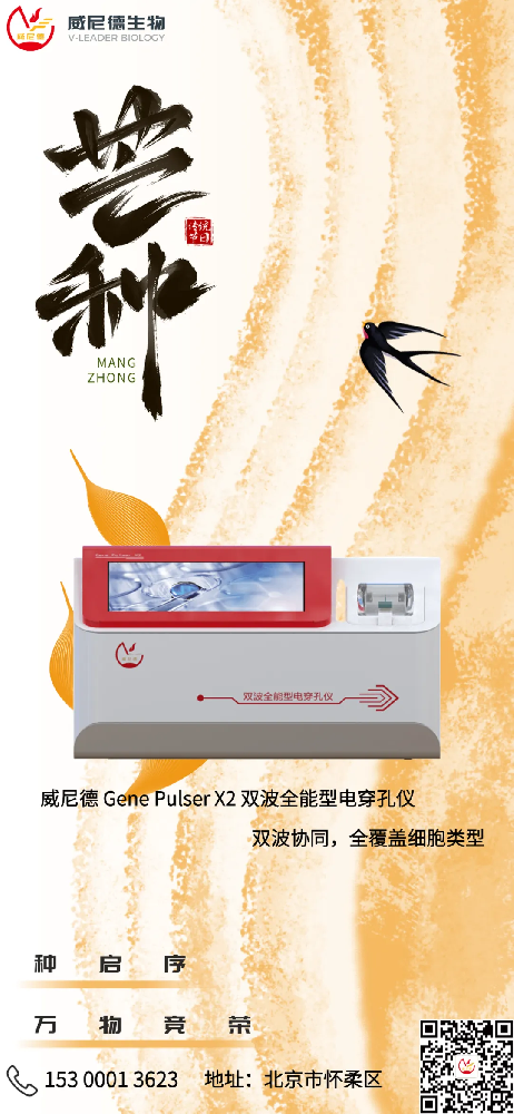 â��ʱ�ڸ��ſ��У������ Gene Pulser X2 ������Ч̽��?